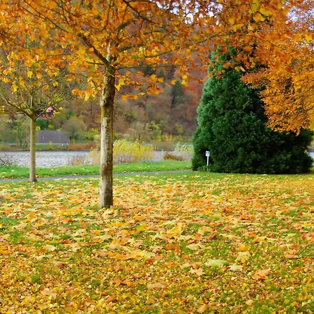 Apartament Ferienwohnungen-traben-trarbach *